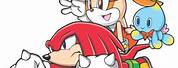 Knuckles and Cream the Rabbit