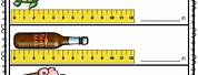 Lesson Plan On Measurement of Length Grade 2
