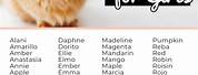 Light Orange Cat Names