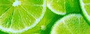 Lime Green Aesthetic Banner Background