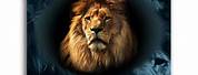 Lion of the Tribe of Judah Family Crest