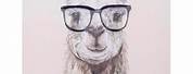 Llama Glasses Wall Art