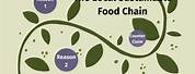 Local Sustainable Food Chain Examples