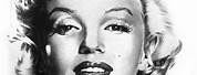 Marilyn Monroe Pencils Portraits Draw