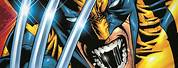 Marvel Wolverine with Sharp Teeth