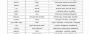 Medical Terminology Prefix and Suffix Chart