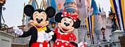 Mickey Mouse Disney World Cinderella Castle