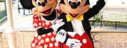 Mickey and Minnie Mouse Disney World