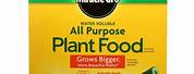 Miracle Grow All Purpose Plant Food