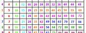 Multiplication Table 1 X 100