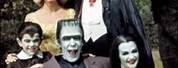 Munsters Family Costumes