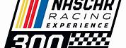 NASCAR Racing Experience 300 Logo