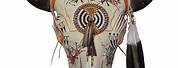 Native American Buffalo Skull Art