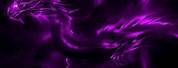 Neon Purple Cat and Dragon Wallpaper 4K PC