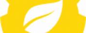 Nest Yellow Gear Icon