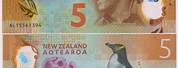 New Zealand 5 Dollar