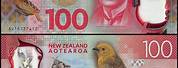 New Zealand Dollar Logo