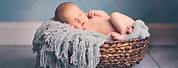 Newborn Baby Boy Photography Ideas