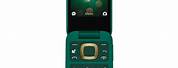 Nokia Green Flip Phone 2660