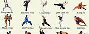 Picture of a List of Didfferent Martial Arts Styles