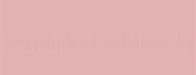 Pink Champagne Paint Colors