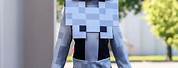 Pinterest Search Minecraft Skeleton Costume