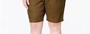 Plus Size Dark Brown Bermuda Shorts