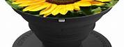 Pop Socket Designs Sunflower