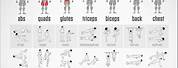 Printable Full Body Workout Weights