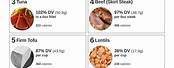 Protein Foods Names List
