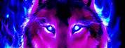Purple Anime Galaxy Wolf