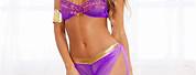 Purple and Gold Belly Dance Costume