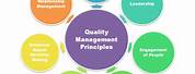 Quality Principles of Manufacturing Company