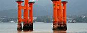 Red-Orange and White Japanese Shrine