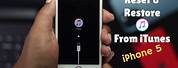 Reset iPhone 5S with iTunes