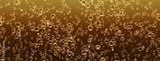 Rose Gold Champagne Bubbles Background
