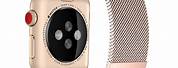 Rose Gold Stainless Steel Apple Watch Band