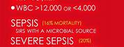 SIRS Sepsis and Septic Shock Criteria