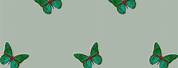 Sage Green Butterfly Horizontal Wallpaper