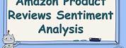 Sentiment Analysis Amazon Reviews