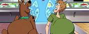 Shaggy and Scooby Doo Weight Gain