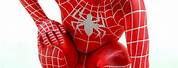 Spider-Man Black Red Costume