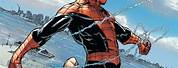 Spider-Man New Suit 616