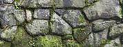 Stone Wall Texture with Moss