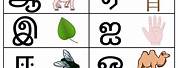 Tamil Letters Chart for Kids
