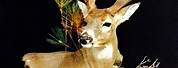 Taxidermy Deer with Buck Teeth