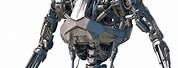 Terminator Robot Skeleton Transparent