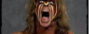 The 13th Ultimate Warrior Meme