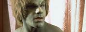 The Incredible Hulk Lou Ferrigno