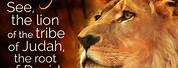 The Lion of the Tribe of Judah in the New Jerusalem